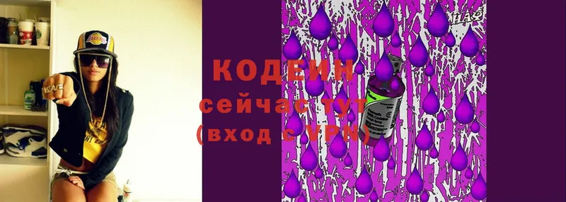 блэк спрут ССЫЛКА  купить наркотики цена  Новоалтайск  Кодеин Purple Drank 