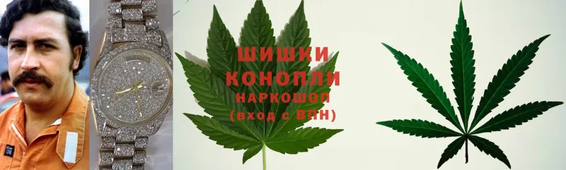 Шишки марихуана SATIVA & INDICA  Новоалтайск 